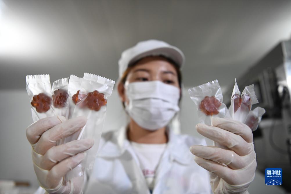 集结电子游戏网站